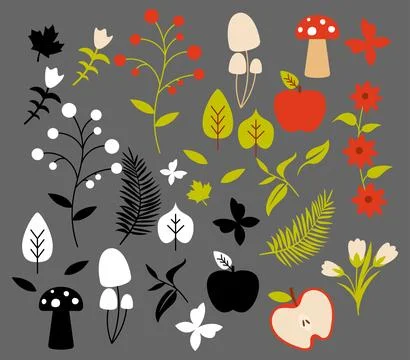 Nature Elements Stock Illustration