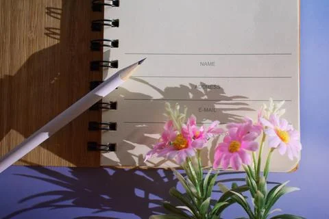 Nature Embrace Capturing Thoughts in a Rustic Notes Journal. Foto stock