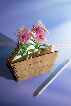 Nature Embrace Capturing Thoughts in a Rustic Notes Journal. Foto stock