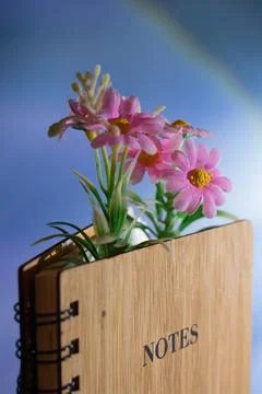 Nature Embrace Capturing Thoughts in a Rustic Notes Journal. Stock-Fotos