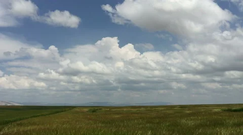 Nature environment background 1 Video stock 50847695