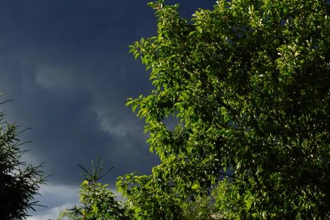 Nature Environment Dark cloud sky. Thunderstorm and hurricane clouds Stock Photos