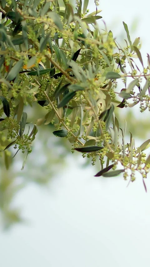 Nature Environment Dark huge cloud sky black stormy Stock Footage 302354320