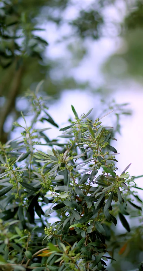 Nature Environment Dark huge cloud sky black stormy Stock Footage 302354335