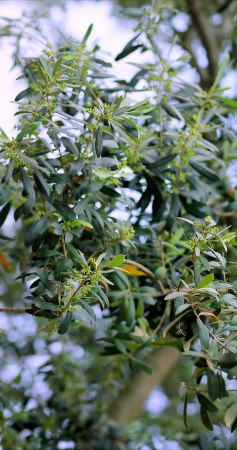 Nature Environment Dark huge cloud sky black stormy Stock Footage 302354351