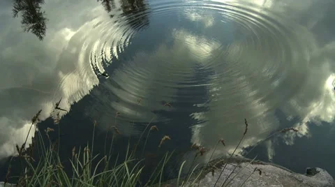 Nature environment Stock Footage 10701973