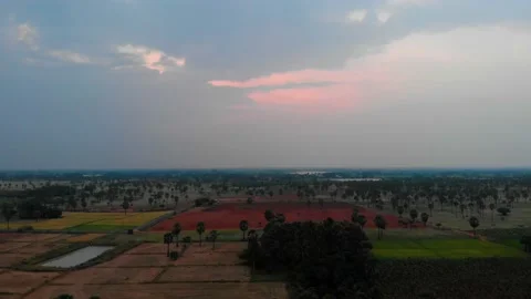 Nature Evening 스톡 동영상 229708061