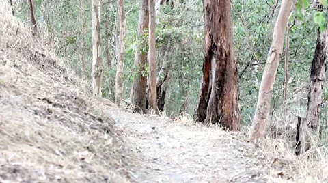 Nature Exploration Stock Footage 8685569