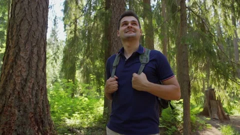 Nature explorer admiring trees in forest Stock Footage 134295667