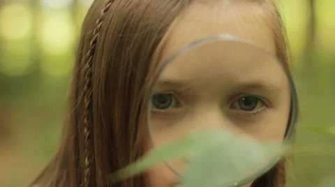 Nature explorer Stock Footage 22664649