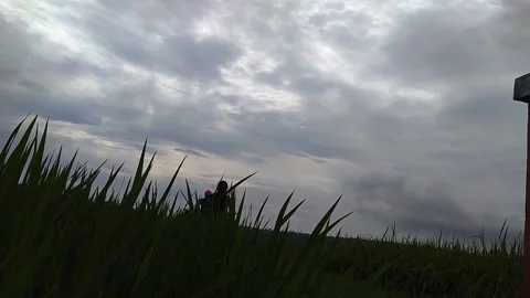 Nature explorer Video stock 221181038