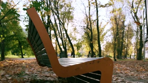 Nature in Fall. Fallen Leaves of Maple Tree. Walking in the Forest or Park in Stock Footage 141912072