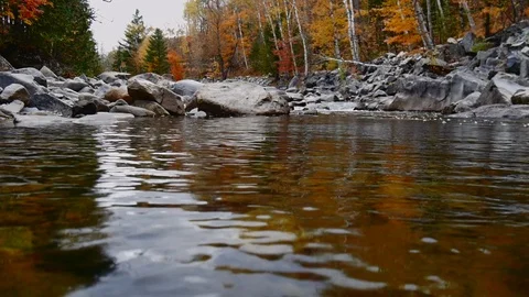 Nature in Fall Stock Footage 85674733