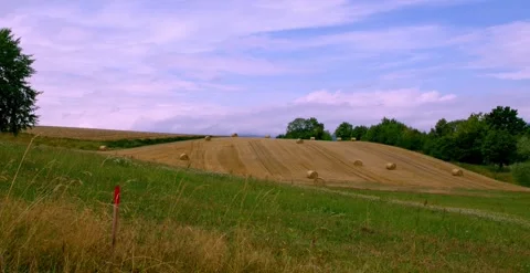 Nature fields with hay bales and blue sky in the countryside 6k V10063 Stock Footage 247379207