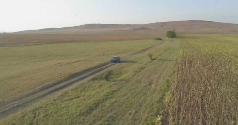 Nature , fields, paths, lakes, water, trees, roads, summer, blue sky Stock Footage 312324436