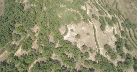 Nature , fields, paths, mountains, trees, roads, summer, blue sky Stock Footage 312324472