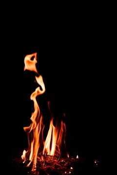 Nature Fire flames at dark night. Stock Photos