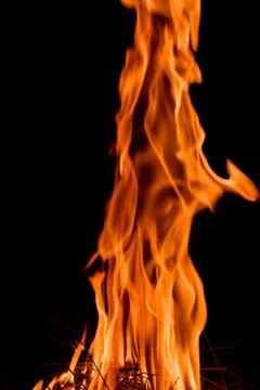 Nature Fire flames at dark night. Stock Photos