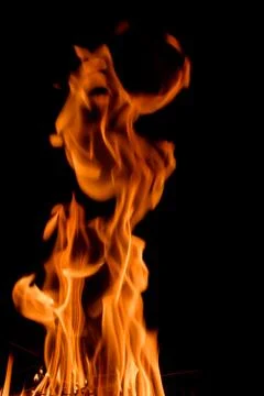 Nature Fire flames at dark night. Stock Photos