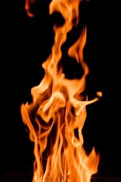 Nature Fire flames at dark night. Stock Photos