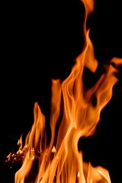 Nature Fire flames at dark night. Stock Photos