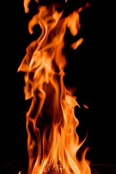 Nature Fire flames at dark night. Stock Photos