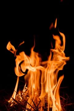 Nature Fire flames at dark night. Stock Photos
