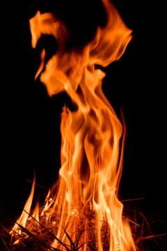 Nature Fire flames at dark night. Stock Photos