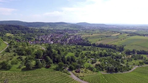 Nature flight Villa (vineyard) - Cinema Shot Stock Footage 82198059