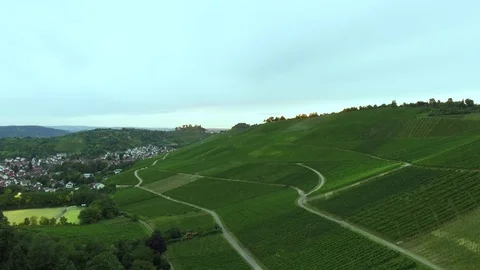 Nature flight Vineyard - Areal Shot Stock Footage 83173291
