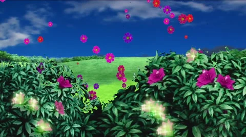 Nature, Flowers Field Stock Footage 45949605
