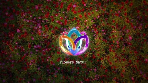 Nature Flowers Logo Reveal Stock After Effects