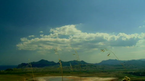 Nature Video stock 619047