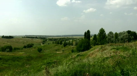 Nature Video stock 808166