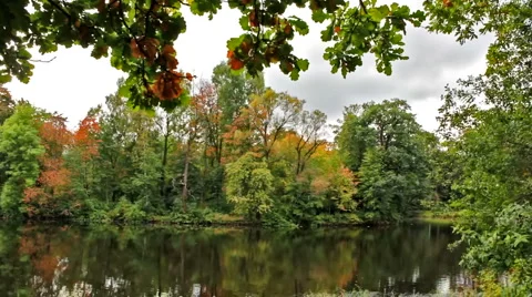 Nature Stock Footage 911604