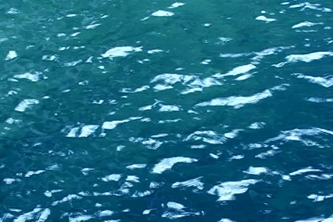 Nature Stock-Footage 1443047