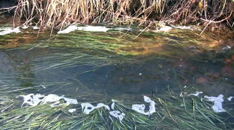 Nature Stock-Footage 7135938