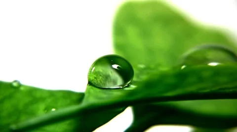 Nature 스톡 동영상 7902385