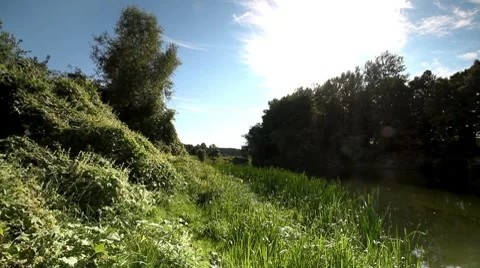 Nature Stock Footage 8633490