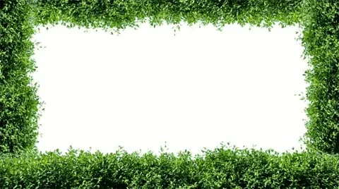 Nature Stock Footage 10882312