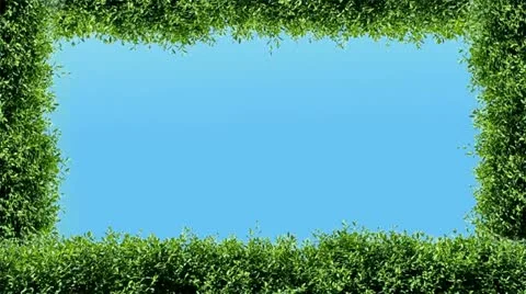 Nature Stock Footage 10882451