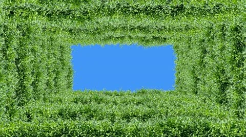 Nature Stock Footage 10882557