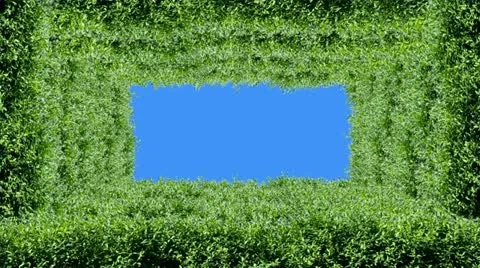 Nature Stock Footage 10882708