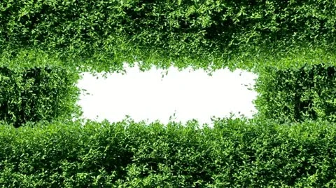 Nature Vídeo Stock 10886121