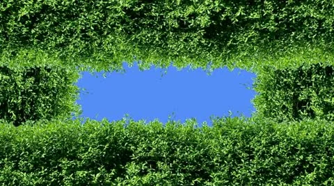 Nature Stock Footage 10886287