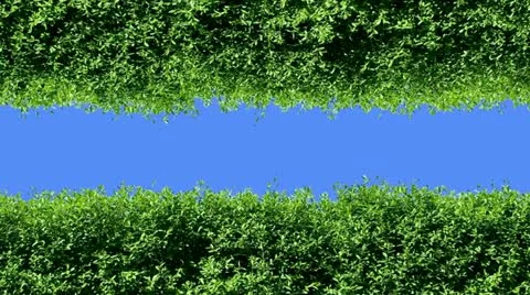 Nature Stock Footage 10886302