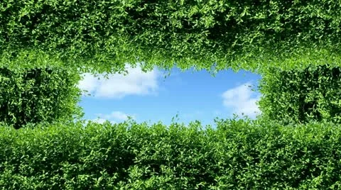 Nature Video stock 10886565