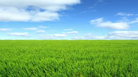 Nature Stock Footage 10886927