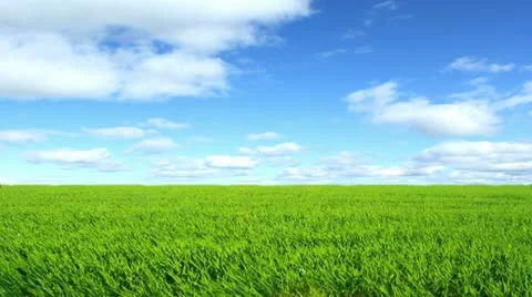 Nature Stock Footage 10887039