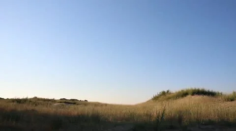 Nature Video stock 11968330